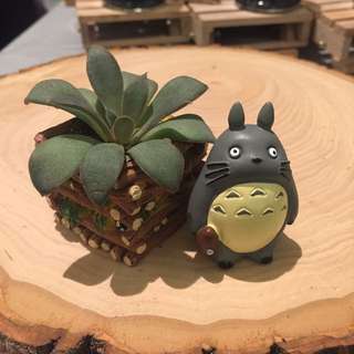 Totoro With Planter Box