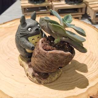 Totoro With Hatched Egg