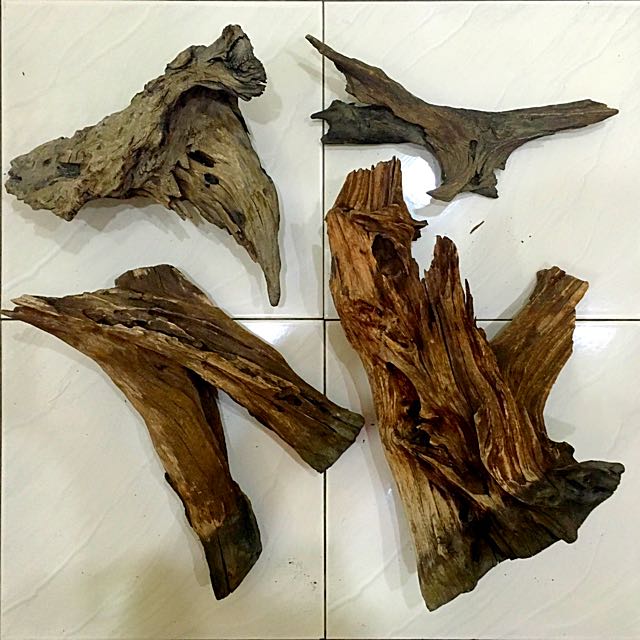 Aquarium Driftwood For Sale on Carousell