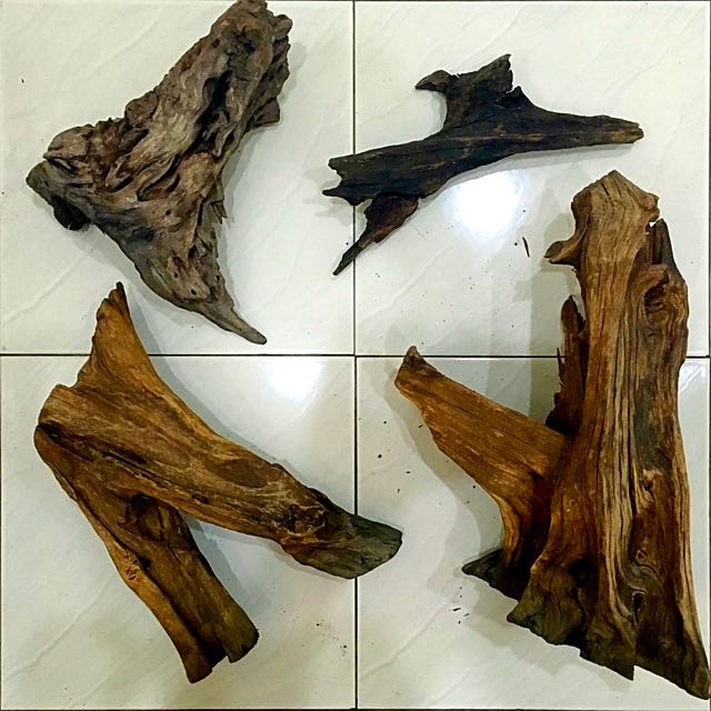 Aquarium Driftwood For Sale on Carousell