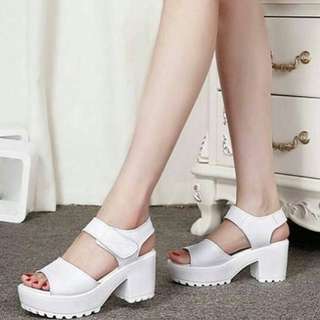 DOCMART ZARA (BEST SELLER)