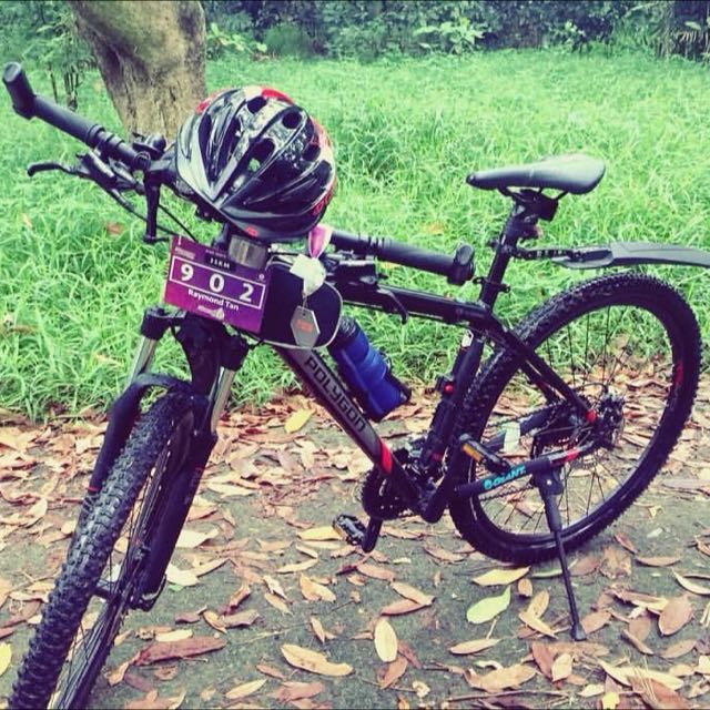 polygon premier 4.0 mountain bike