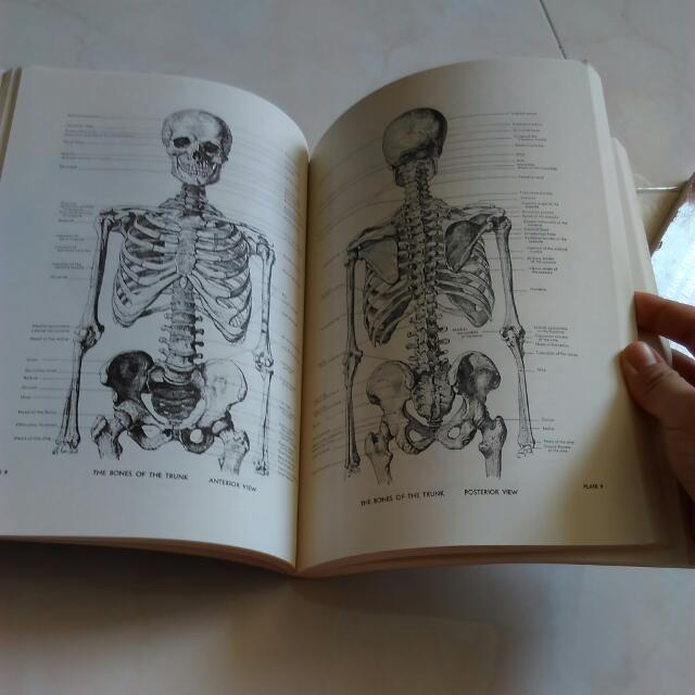 An Atlas Of Anatomy For Artists Fritz Schider Incl Notes From Leonardo Da Vinci Life Drawing Anatomical Studies Visual Art Student Fine Art Painting Animator Concept Art 3d Model Vfx Animation An Atlas Of Anatomy For Artists Fritz Schider Incl Notes From Leonardo Da Vinci Life Drawing Anatomical Studies Visual Art Student Fine Art Painting Animator Concept Art 3d Model Vfx Animation