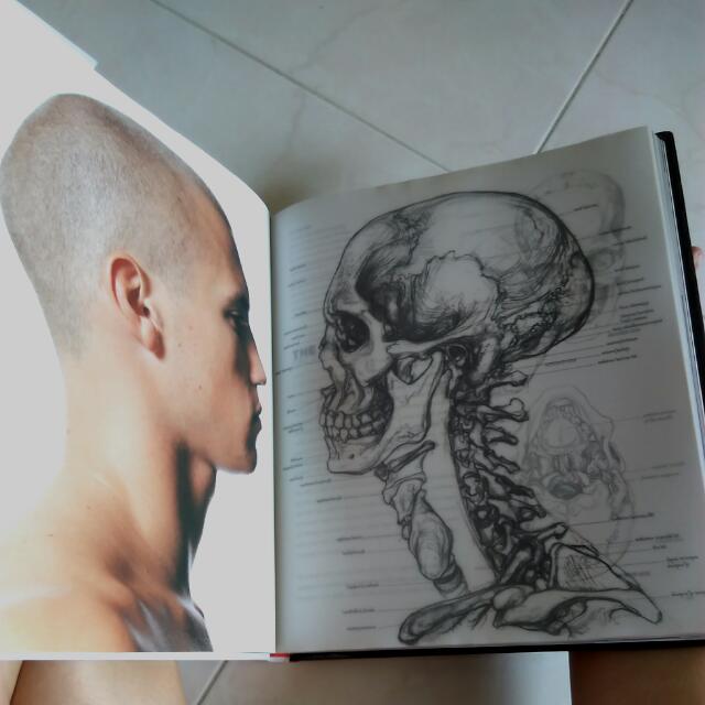 Anatomy For The Artist Sarah Simblet John Davis Human Anatomy