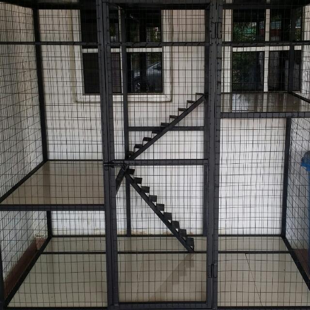 Rumah Kucing - Paimin Gambar