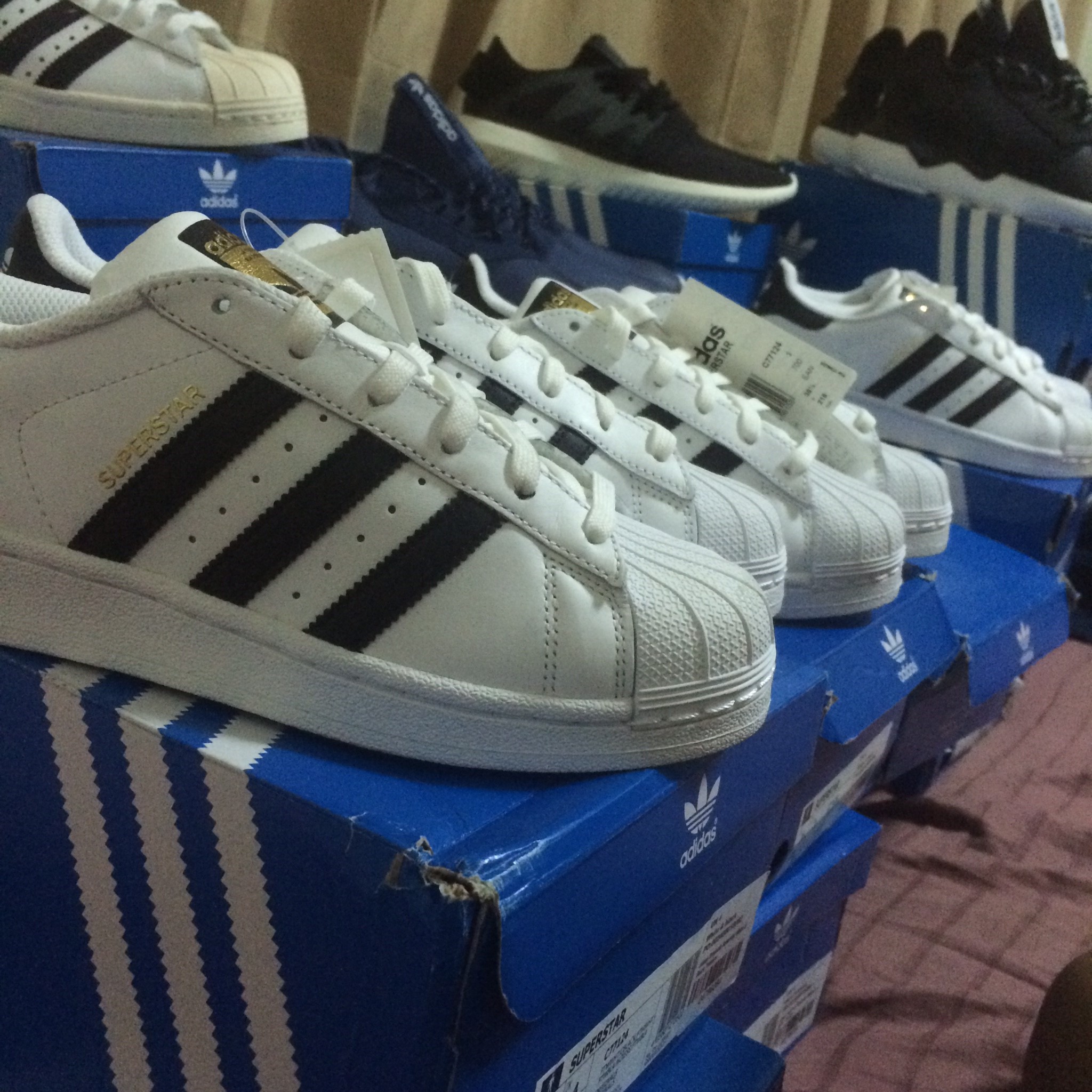 superstar adidas 31