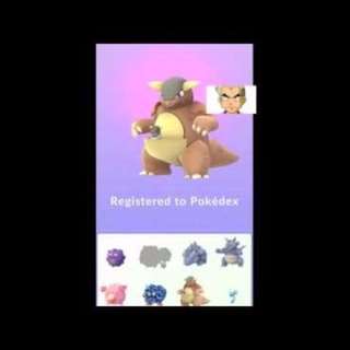 Hundo Kangaskhan in Pokémon Go 