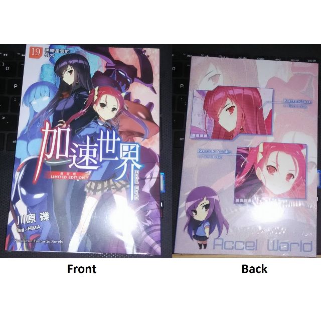 Accel World Light Novel Vol 19 Limited Edition Chinese