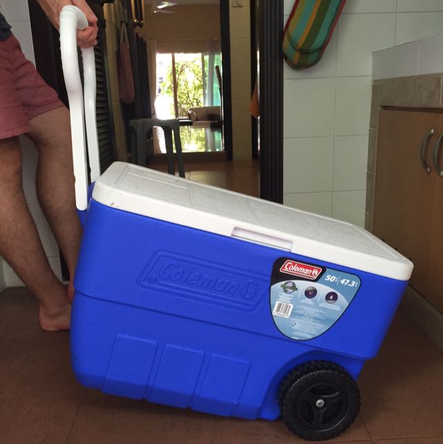 Coleman Chilly Bin Ice Box With Handle 50 Qts, TV & Home Appliances