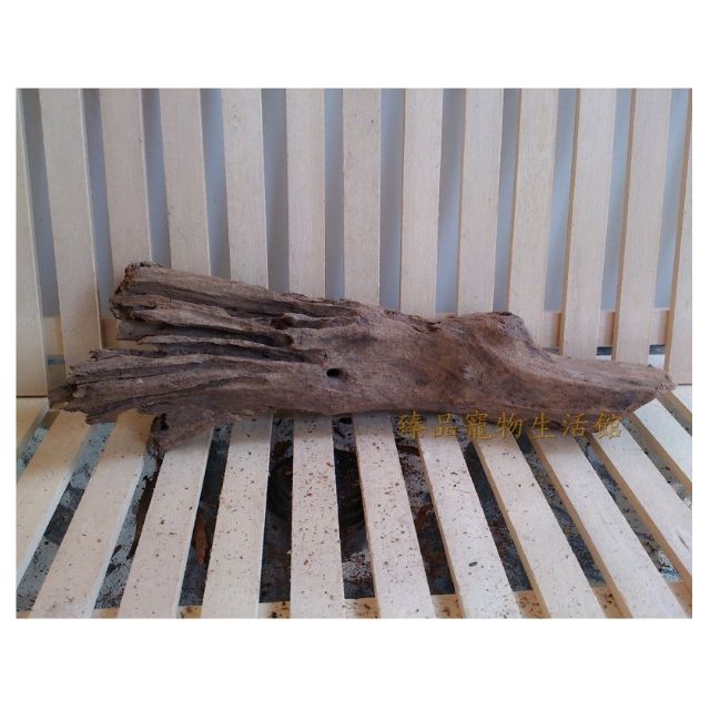 臻品寵物生活館 沉木 沈木 No 38 水族箱 園藝擺飾 裝飾造景 養水草 墨絲 鹿角苔 兩棲爬蟲昆蟲環境佈置 營造意境 S 居家生活 園藝在旋轉拍賣