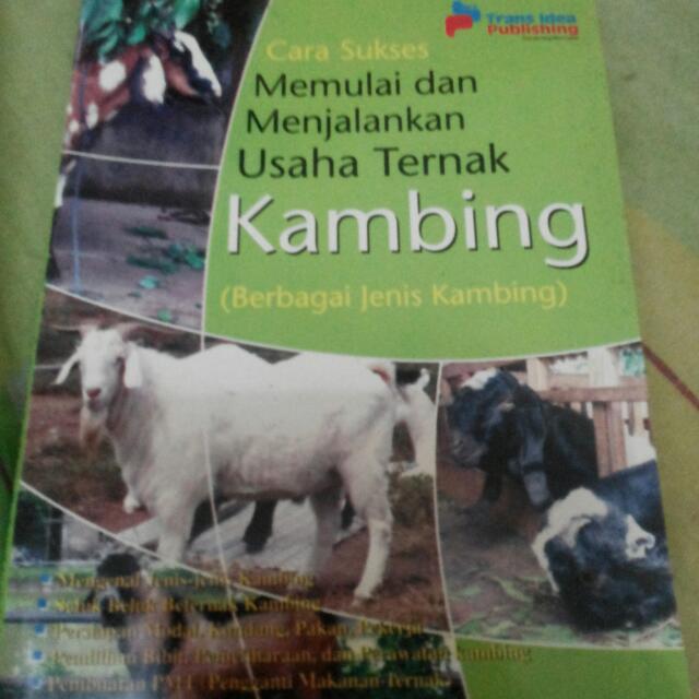 Buku Ternak Kambing Buku Alat Tulis Buku Di Carousell