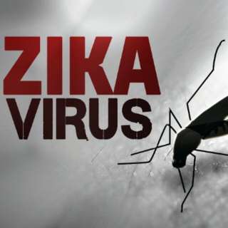 natural insect repellent