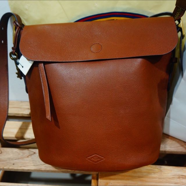 Fossil Haven Bucket Large