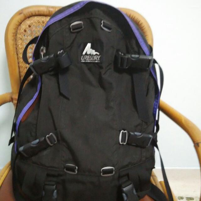 gregory purple backpack