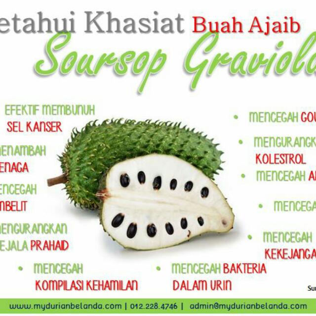 Fresh Durian Belanda Food Drinks Packaged Snacks On Carousell
