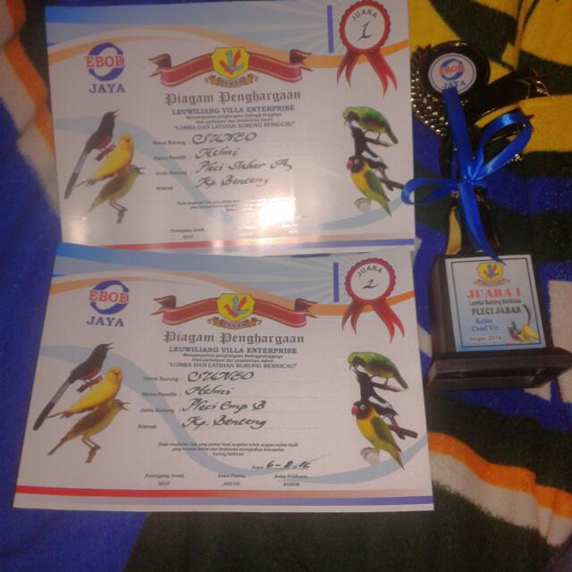 Pleci Dakun Garut Everything Else On Carousell