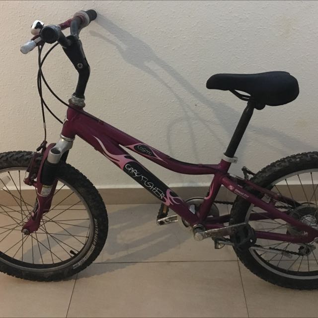 gary fisher girls bike