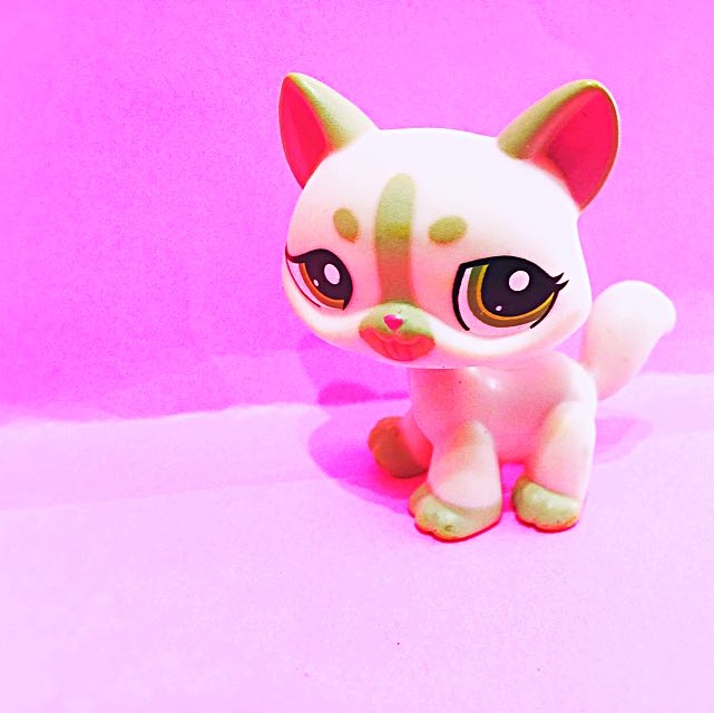 Lps Pink Shorthair Cat Toys Games Bricks Figurines On Carousell