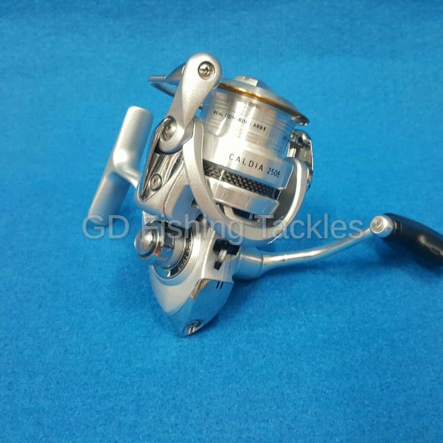Daiwa Caldia 2508, Sports, Sports