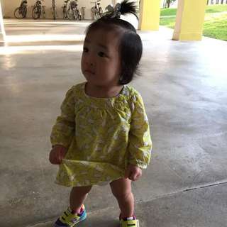 Gap Toddler Dress