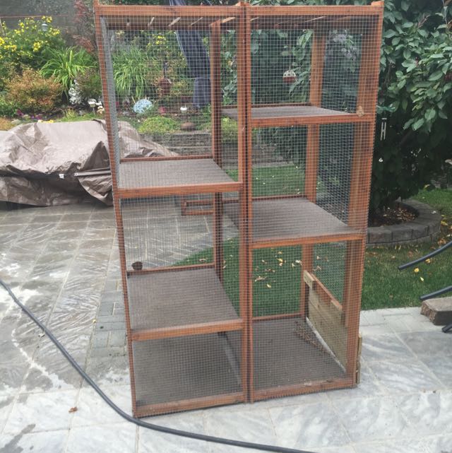 Homemade Outdoor Cat Condo Pets Supplies Pet Accessories On