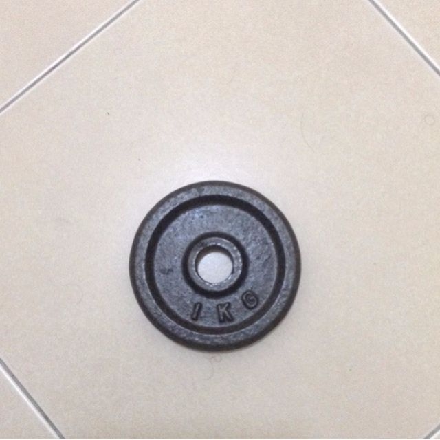1 Kg Weight Plate (Cast Iron), Everything Else, Others on Carousell
