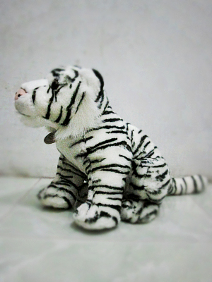 Gambar Harimau Putih Semburat Warna