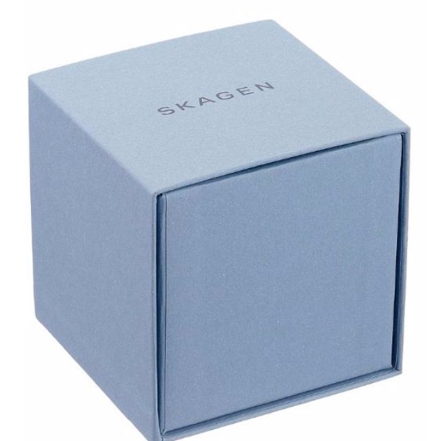 Skagen skw2413 on sale
