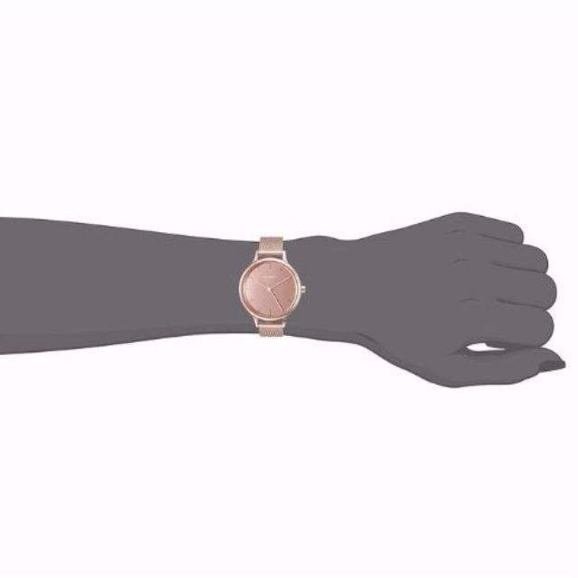 Skagen skw2413 online