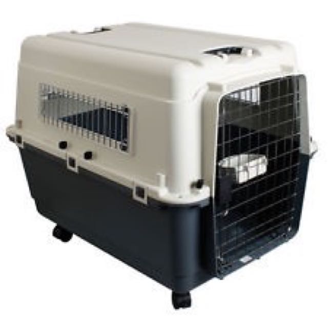 Dog Transport Box Carrier Big Size With Wheels Conforms To Airplane Standards Reserved Pet Supplies On Carousell