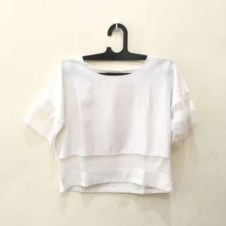 White Top Ruffles Sleeve