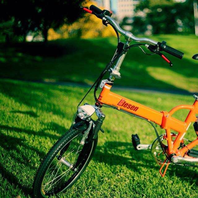 ELECTRIC BIKE (Category: Sports Equipment - Others) located in Melbourne. Submitted by brandden (Listing ID 68901789, Image 1). Description: .