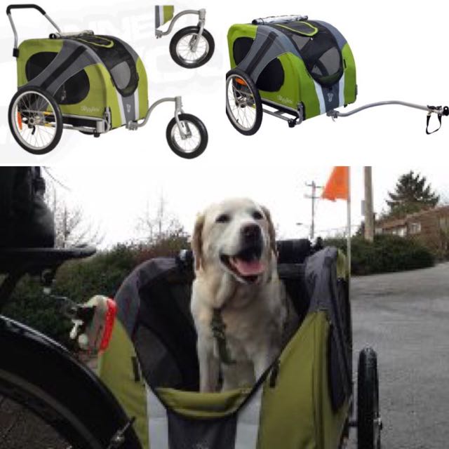 Dutch dog stroller 2025