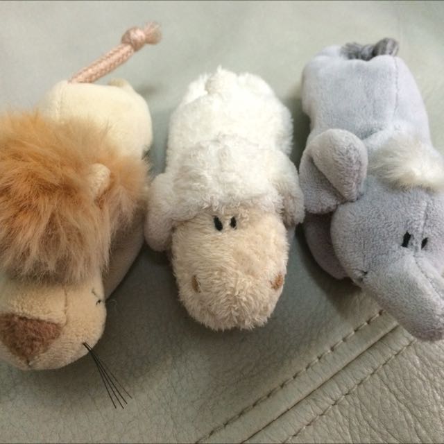 nici magnetic animals