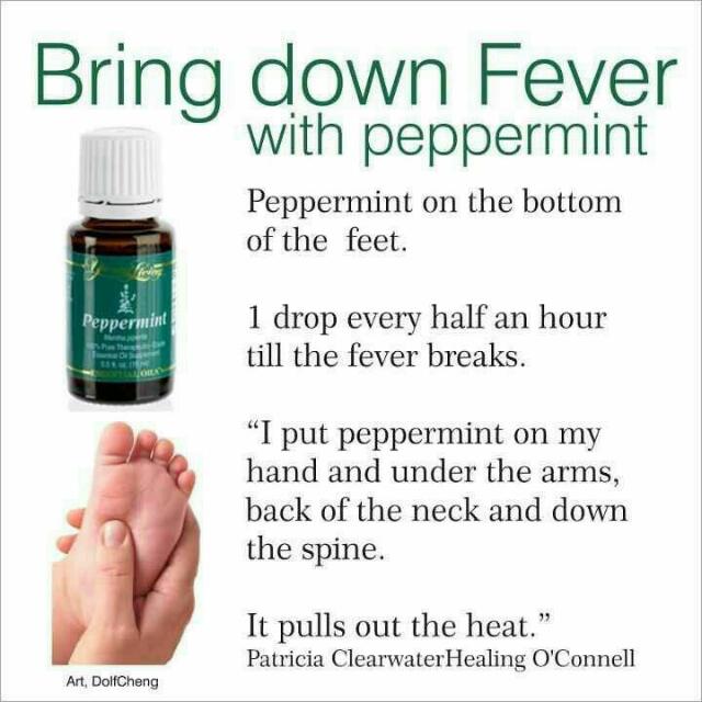 Yleo Peppermint (Category: Body Care) located in Singapore. Submitted by nesbudiman (Listing ID 69455368, Image 2). Description: .