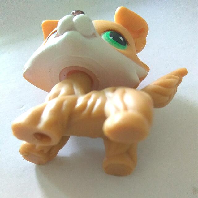 LPS Collie 272 Hobbies Toys Toys Games on Carousell