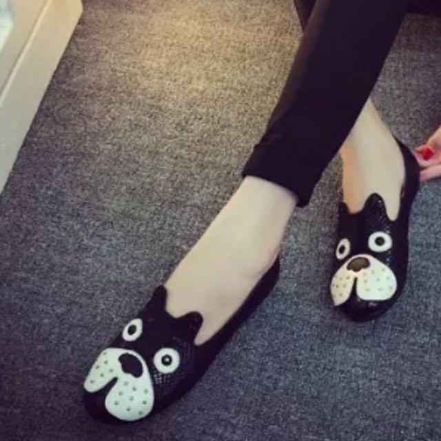 Dog store face shoes