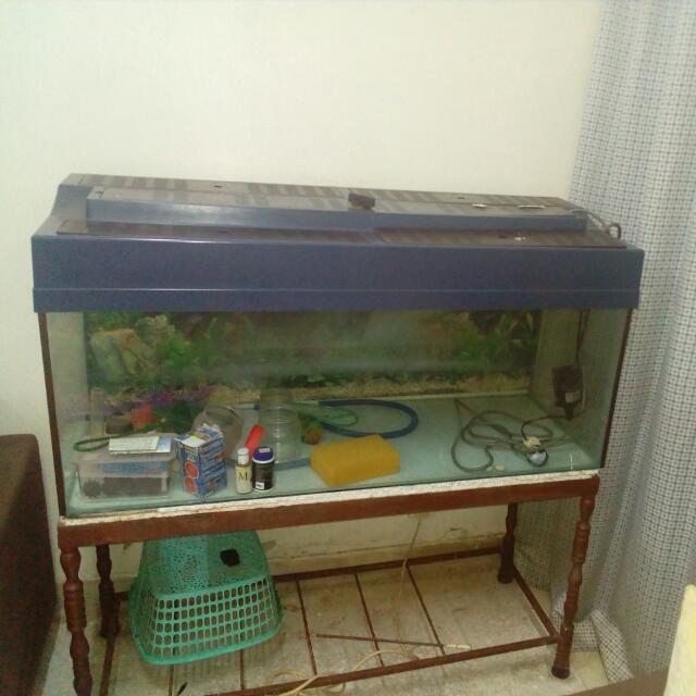 Second hand aquarium store