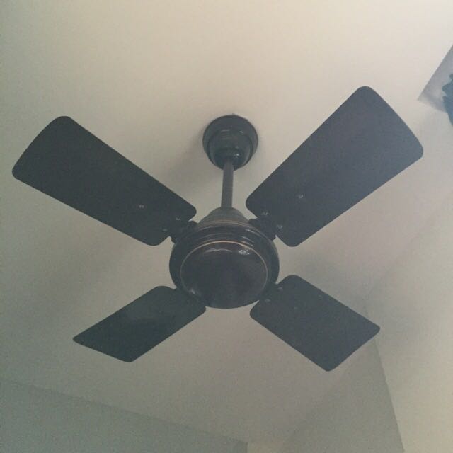 Ceiling Fan From India Furniture Home Living Lighting Fans Fans On Carousell