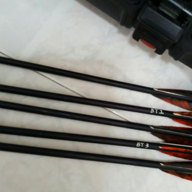 Mathews Conquest Triumph Compound Bow Archery, Sports Equipment, Sports