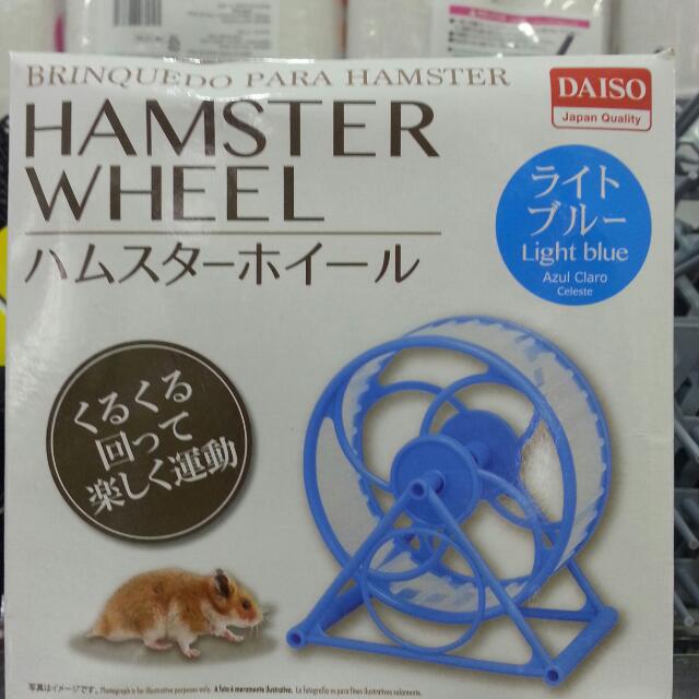 breeds good with cats