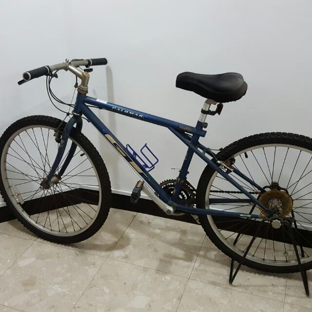 GT Palomar MTB