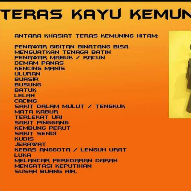 Khasiat Teras Kemuning Hitam 100 Asli 100 1 Sebiji 160 2 Beji Health Beauty Hand Foot Care On Carousell
