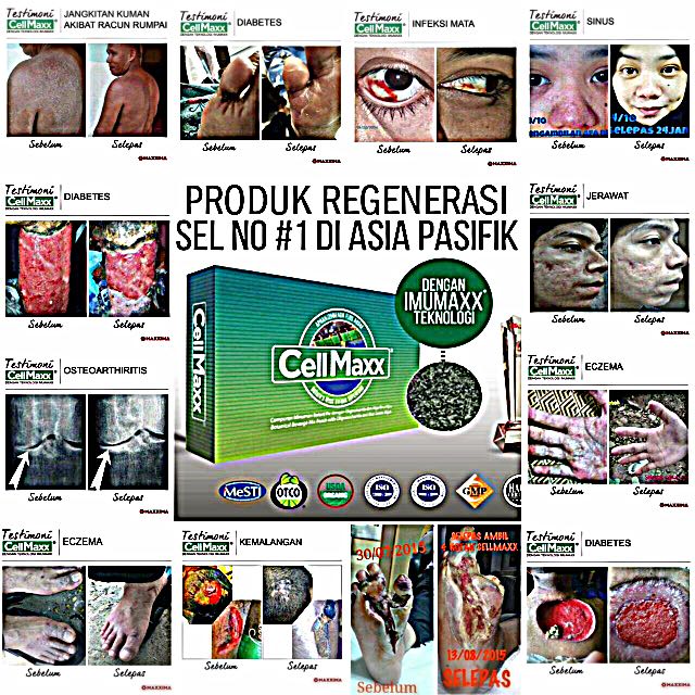 Cellmaxx Health Nutrition Health Supplements Health Food Drinks Tonics On Carousell