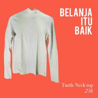Turtleneck Stripe top
