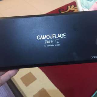 Camouflage Palette 10 Concealer Shades