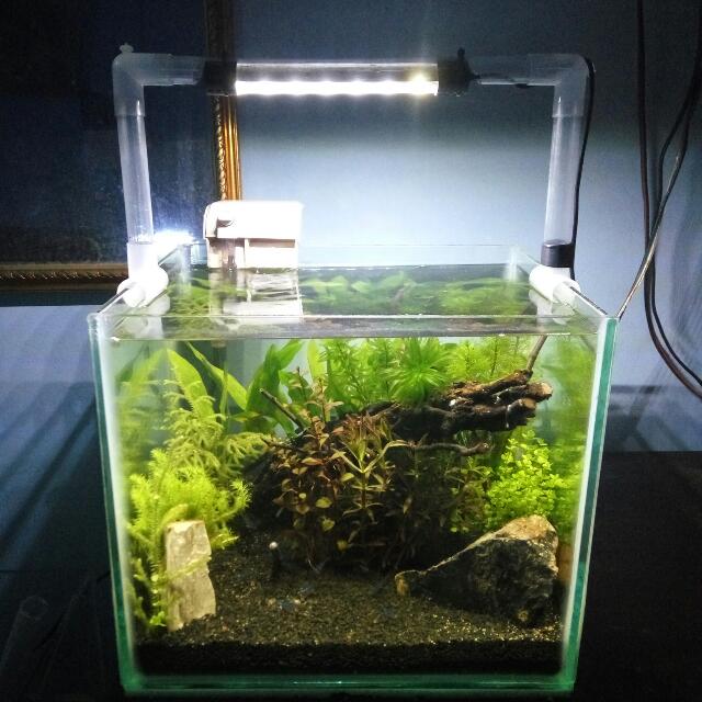 Aquascape Nano Perabotan Rumah Di Carousell