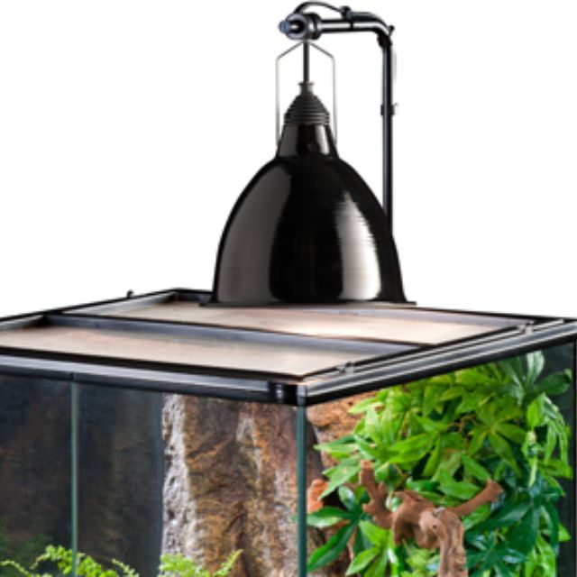 REPTILE DOME / ALUMINUM DOME FIXTURE EXO TERRA, Pet Supplies, Homes