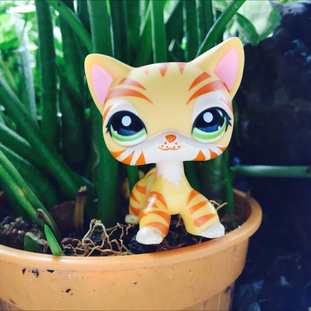 Lps tiger shorthair hot sale cat