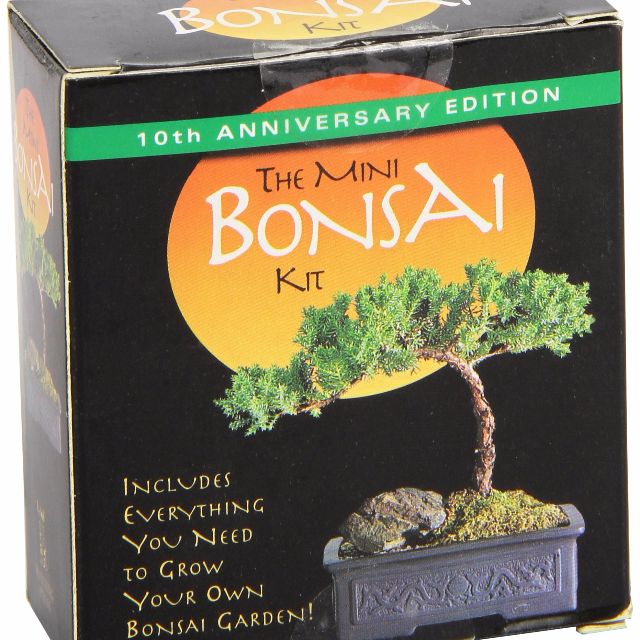 The Mini Bonsai Kit, Bulletin Board, Preorders on Carousell
